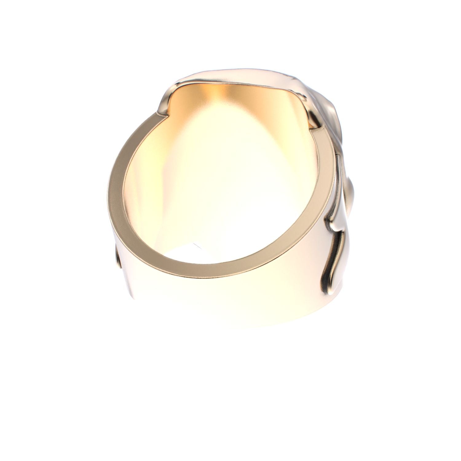 Tear of Resilience Ring - 9ct Gold - Amethyst - BeckonJewel